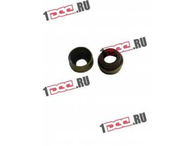 Колпачок маслосъемный WP12 SHAANXI / Shacman (ШАНКСИ / Шакман) 61800050151 фото 1 Бийск