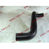 Патрубок радиатора верхний длинный SH SHAANXI / Shacman (ШАНКСИ / Шакман) DZ9112538062 фото 2 Бийск
