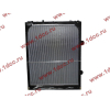 Радиатор WP12 SH SHAANXI / Shacman (ШАНКСИ / Шакман) DZ95259532203 фото 2 Бийск